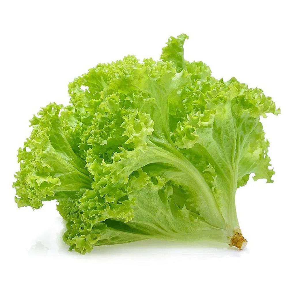 xa-lach-lo-lo-xanh1_6a0ec3b8741947e9963398502877b347