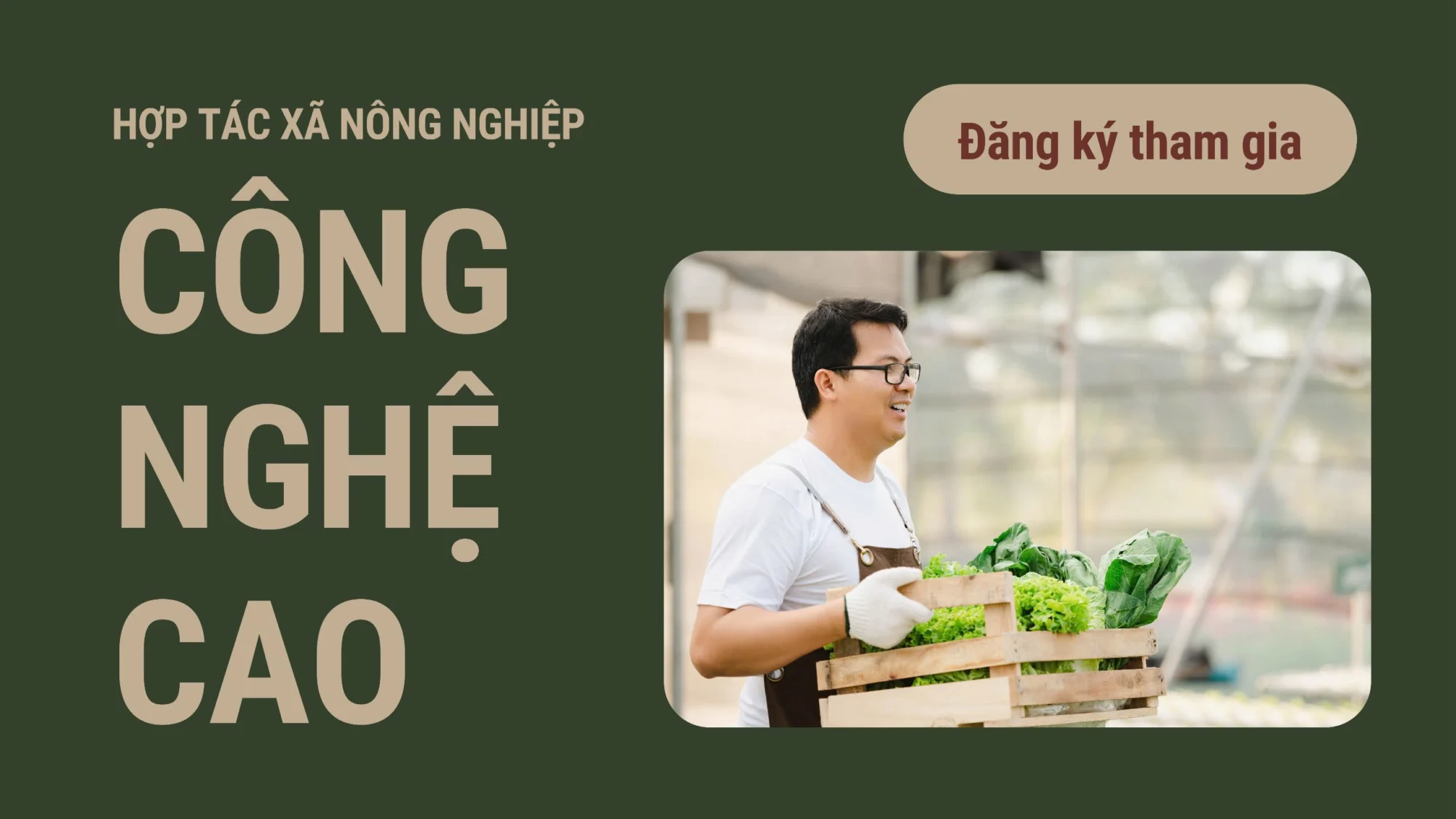 Hợp tác xã Dala Farm