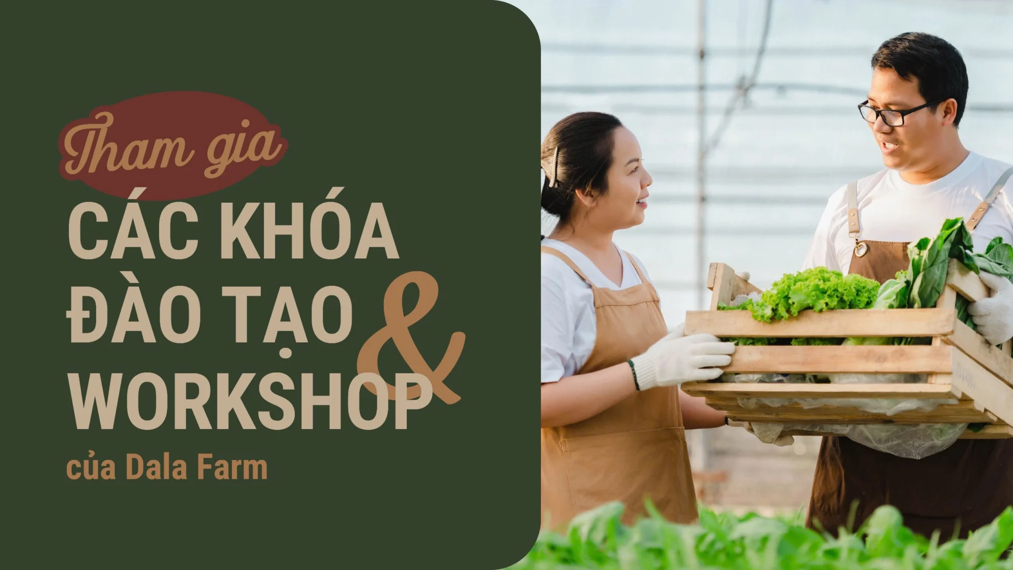 Đào tạo nông nghiệp Dala Farm