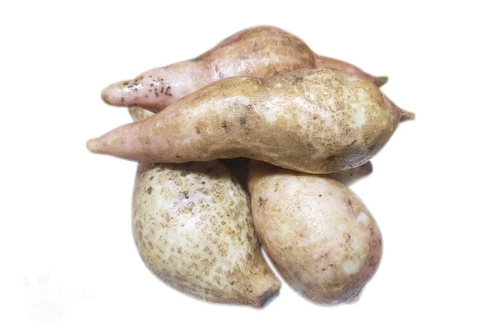 82ade6fa-e381-4f17-bfdb-2070f41500d2