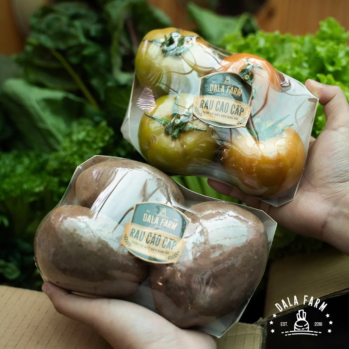 Rau hữu cơ Đà Lạt